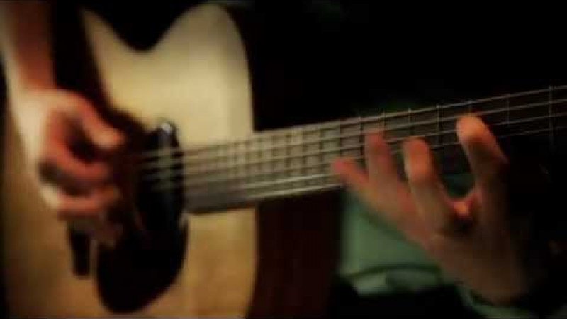 Timber Tones Santos Rosewood on Acoustic Guitar