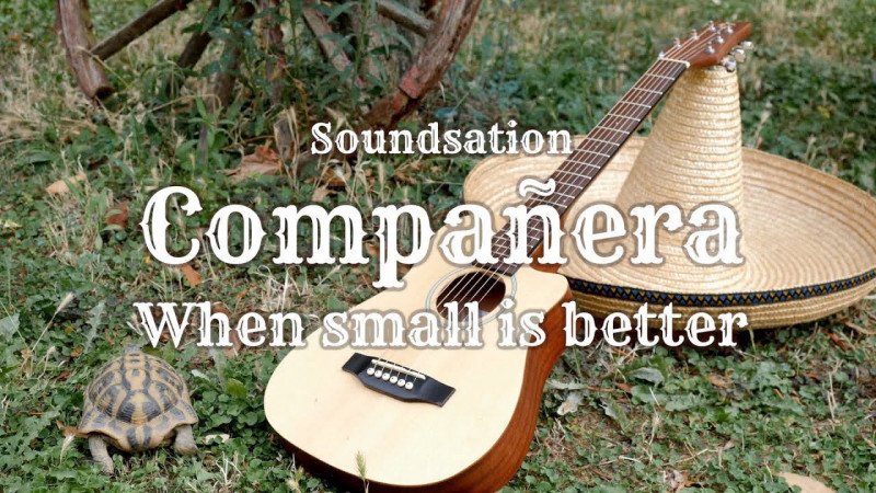 Compañera: roundback travel guitar